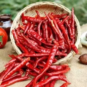 guntur dry red chilli 500x500 1